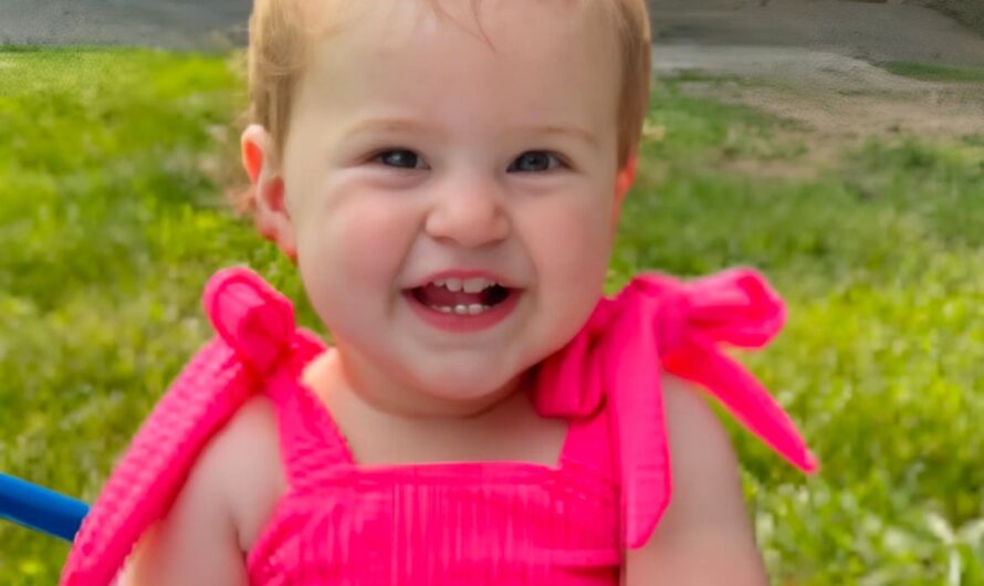 Tragedia en Ohio: niña de un año muere tras ser atacada por un pitbull