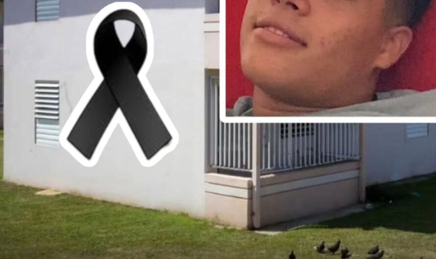 Padre asecina al novio de su hija tras presunta agresión en Arecibo