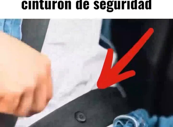 El Pequeño Botón en el Cinturón de Seguridad: Más que un Detalle
