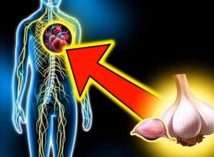 El ajo: un antibiótico natural que combate bacterias e infecciones