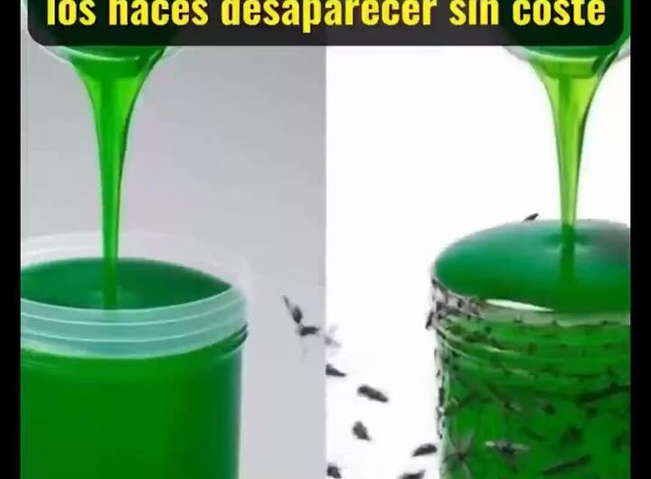 El Insecticida Más Potente Contra Mosquitos que Tienes en Casa