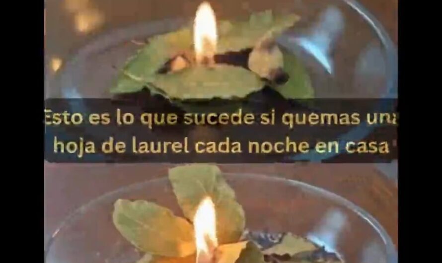 Los Beneficios de Quemar Laurel Cada Noche en Tu Casa