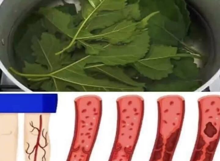 Los Poderes Curativos de la Hoja de Papaya: Un Remedio Natural para la Diabetes y Más