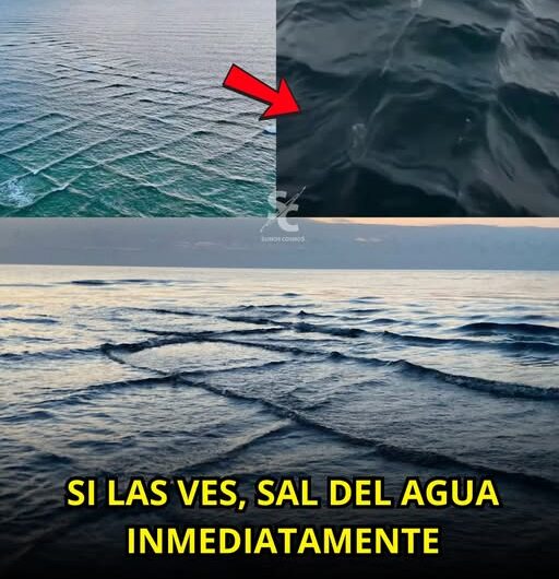 ¡Peligro en el mar! Si ves olas cuadradas, sal del agua de inmediato