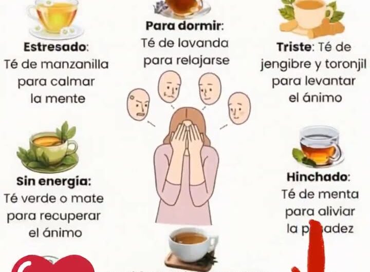 Infusiones Naturales para Cada Estado de Ánimo: Encuentra tu Té Ideal