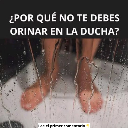 ¿Por Qué No Te Debes Orinar en la Ducha? Hábitos Saludables y Consideraciones de Higiene