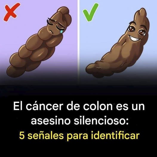 6 Señales de Alerta del Cáncer de Colon que No Debes Ignorar