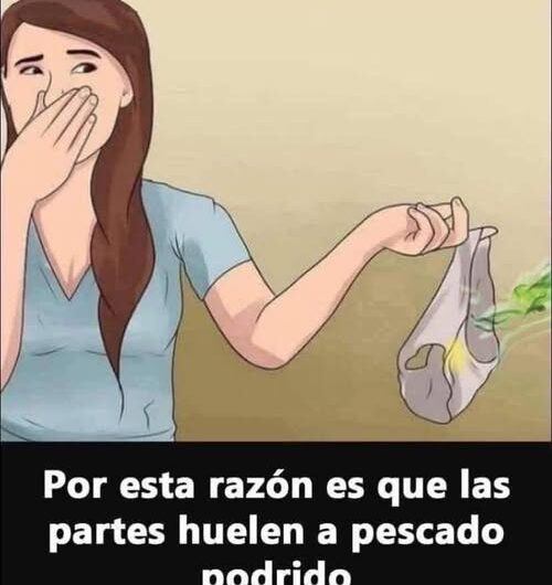 Consejos para Mantener tu Ropa Interior Fresca y Libre de Olores