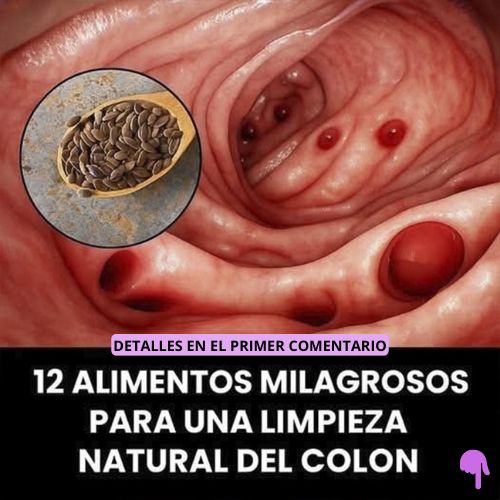 12 Alimentos Milagrosos para una Limpieza Natural del Colon