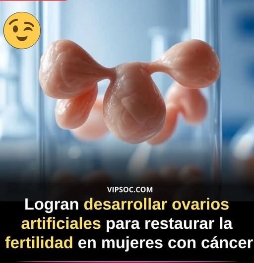 Ovarios Artificiales: Un Avance Médico para la Fertilidad Femenina tras el Cáncer