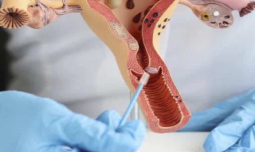 La Salud Reproductiva y el Impacto de la Abstinencia