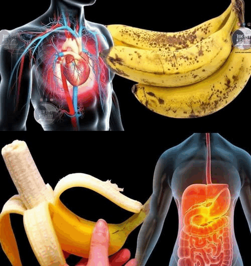 “Por Qué Deberías Comer una Banana Diaria”