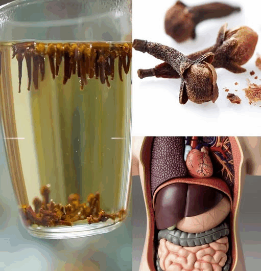 Clavo de olor: el pequeño secreto que transforma tu salud en una taza y en un solo mordisco