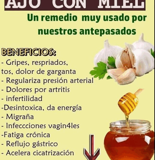 Miel + Ajo: La Combinación que Fortalece tu Inmunidad y Limpia tu Cuerpo