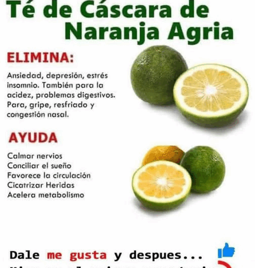 Té de Cáscara de Naranja Agria: El Secreto Digestivo y Relajante de la Abuela