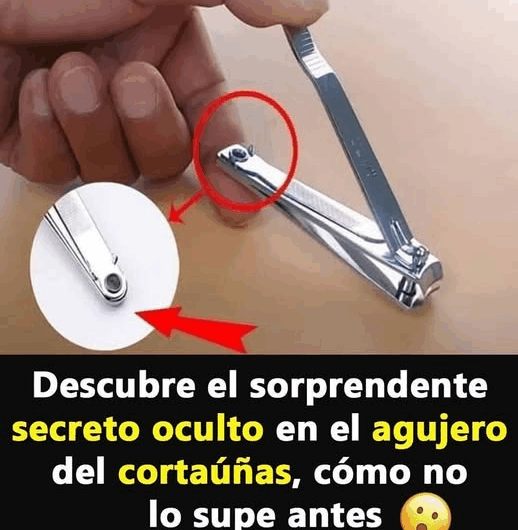El Secreto Oculto en el Agujero del Cortaúñas: Usos que Pocos Conocen