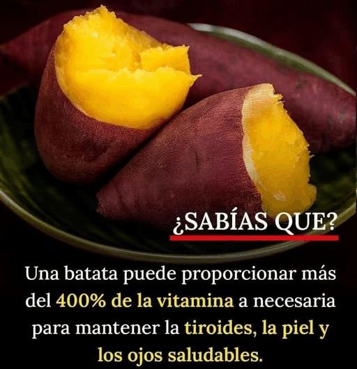 Descubre los 10 increíbles beneficios del camote o batata para tu salud