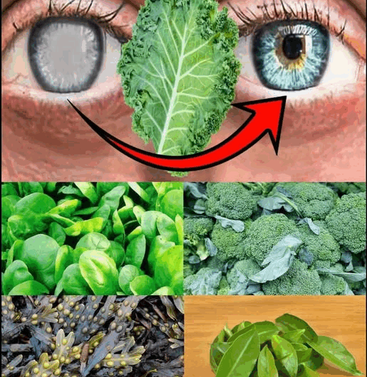 10 verduras de hoja verde esenciales para mejorar la salud ocular y proteger la visión