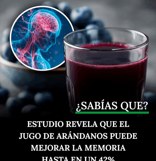 El Poder de los Arándanos: La Fruta Milagrosa que Despierta tu Memoria y tu Mente