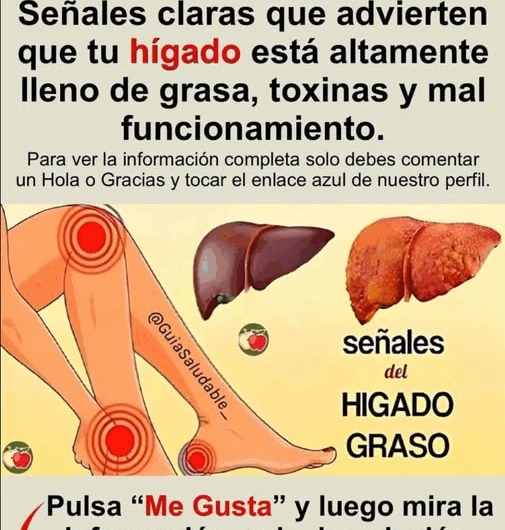 Síntomas reveladores de un hígado cargado de grasa y toxinas: ¿cómo identificarlos?