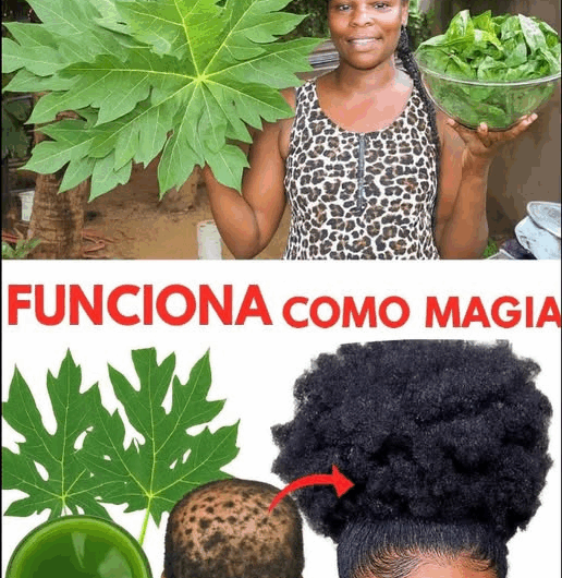 El Poder de las Hojas de Papaya para un Cabello Largo y Fuerte: Recetas Naturales