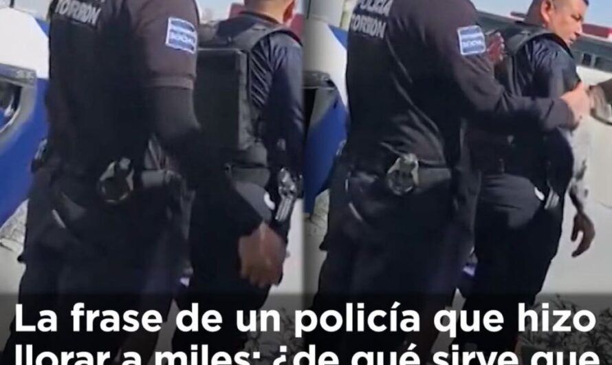 Ya me cansé de arrestarlo y tú lo perdonas