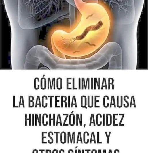 Cómo Eliminar la Bacteria que Causa Acidez Estomacal