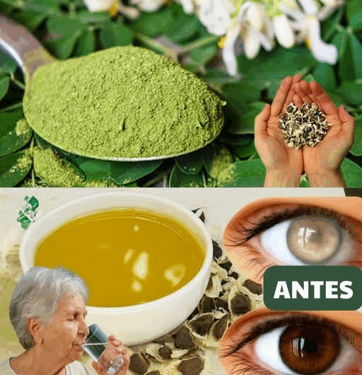 Descubre el Poder Transformador de las Semillas de Moringa