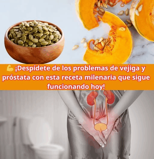 “Cáscaras de huevo: usos, beneficios y cómo aprovecharlas al máximo”
