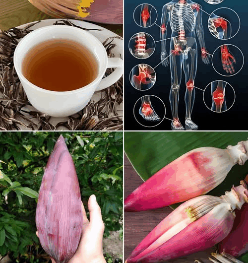 “El secreto natural de la flor de plátano para una dieta saludable”