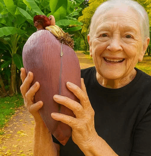 Flor de Plátano: El Tesoro Natural que Regenera tu Salud desde Adentro