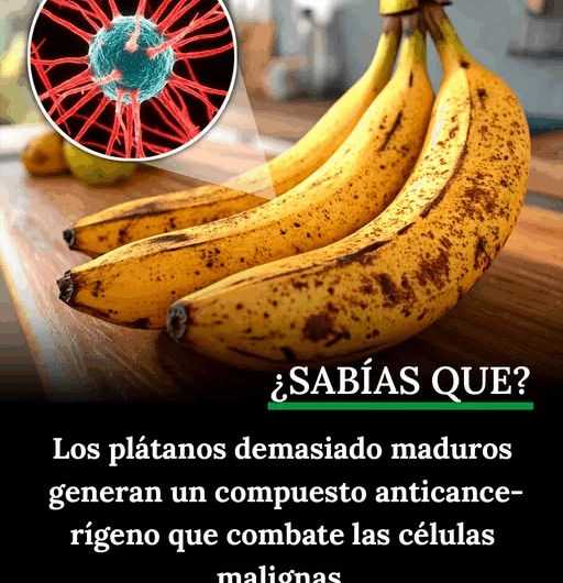 Un Potencial Aliado Nutricional para Fortalecer el Sistema Inmunológico