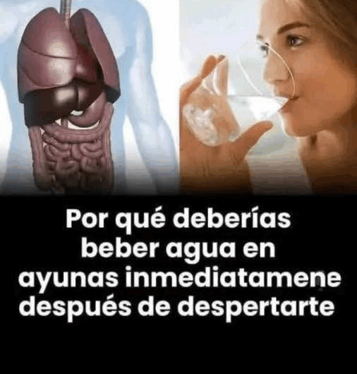 Beneficios de Beber Agua en Ayunas: Hábito Saludable con Grandes Resultados