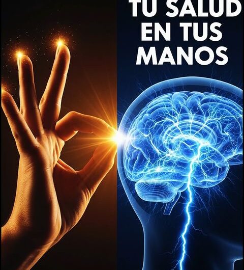 El Poder Oculto de Tus Manos: 4 Movimientos que Relajan tu Cuerpo y Activan tu Mente