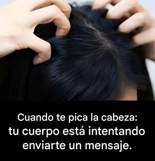 ¿Te pica la cabeza? Descubre las principales causas que podrían estar detrás