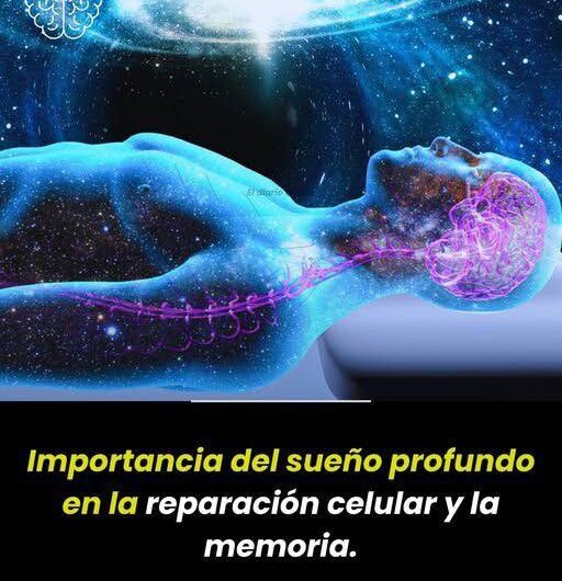 5 Señales de que No Estás Alcanzando el Sueño Profundo que Necesitas