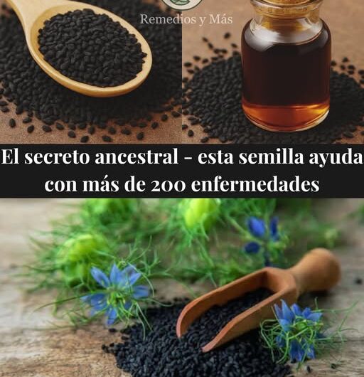 El Poder Oculto del Comino Negro: La Semilla Milagrosa de la Salud Integral