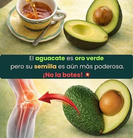 Muchos aman el aguacate, pero botan lo más importante: su semilla. No la tires!