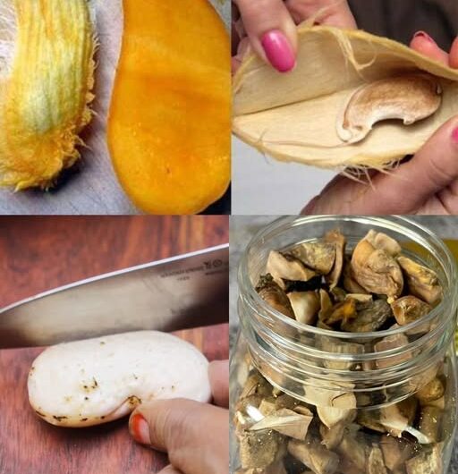 Poder Oculto de la Semilla de Mango: De Desecho a Tesoro Nutricional