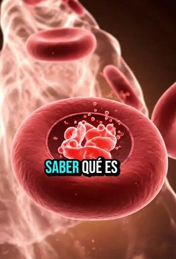 ¿Qué es la anemia y por qué ocurre?