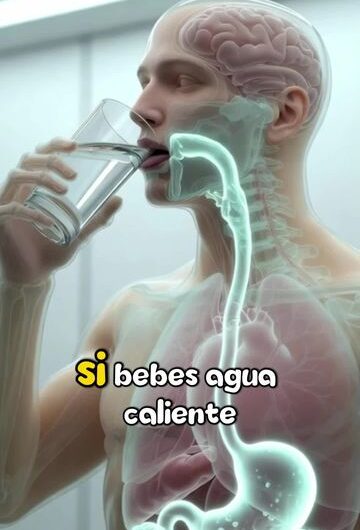 Qué le pasa a tu cuerpo al beber agua caliente cada mañana en ayunas