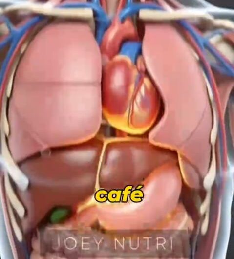 ¿Qué le pasa a tu cuerpo cuando tomas café en ayunas?
