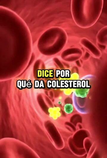 ¿Por qué da colesterol alto y cómo prevenirlo?