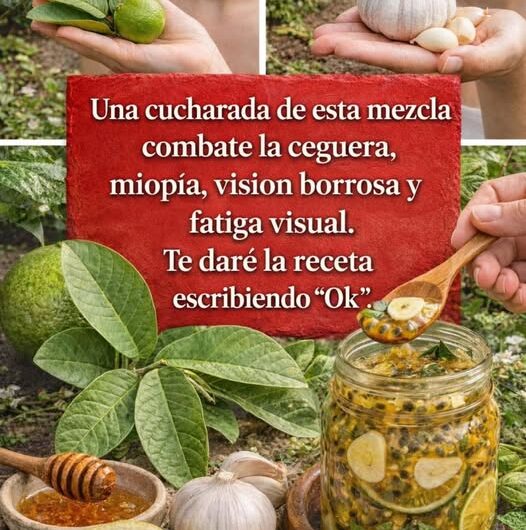 Receta natural para aportar a la vista