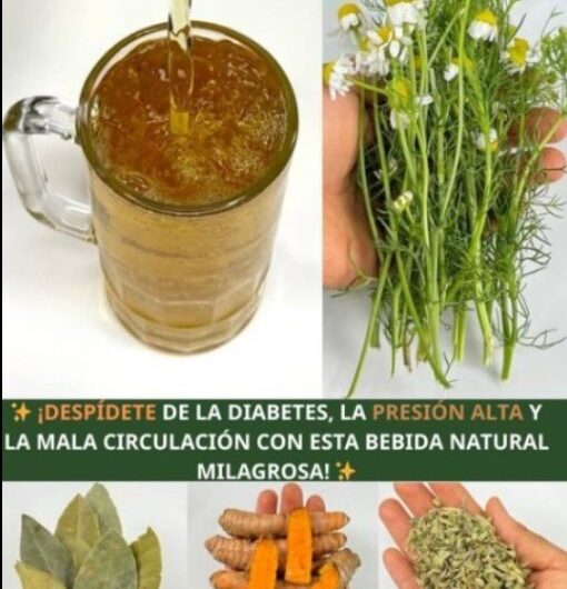 Bebidas Naturales con Plantas para el Bienestar de la Circulación y el Equilibrio 