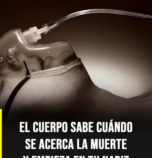 El «aroma del adiós»: ¿Qué es el olor que se percibe al final de la vida según la ciencia?