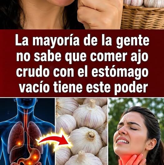 El Tesoro Natural de tu Cocina: Cómo Preparar el Tónico de Ajo y Miel para Fortalecer tu Salud