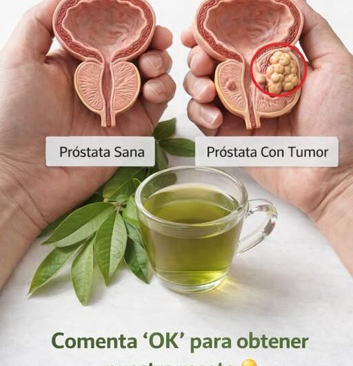 Ningún Hombre Debería Morir de Cáncer de Próstata: Remedios Naturales que Funcionan