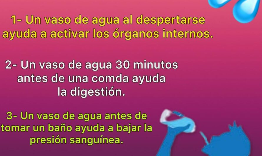 ¿Por Qué Debes Beber Agua Todos los Días? Beneficios para tu Salud