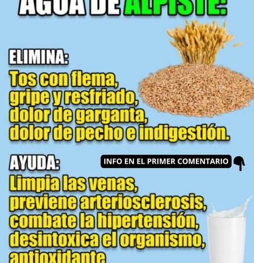 Los Beneficios del Agua de Alpiste: Salud y Bienestar en Un Vaso